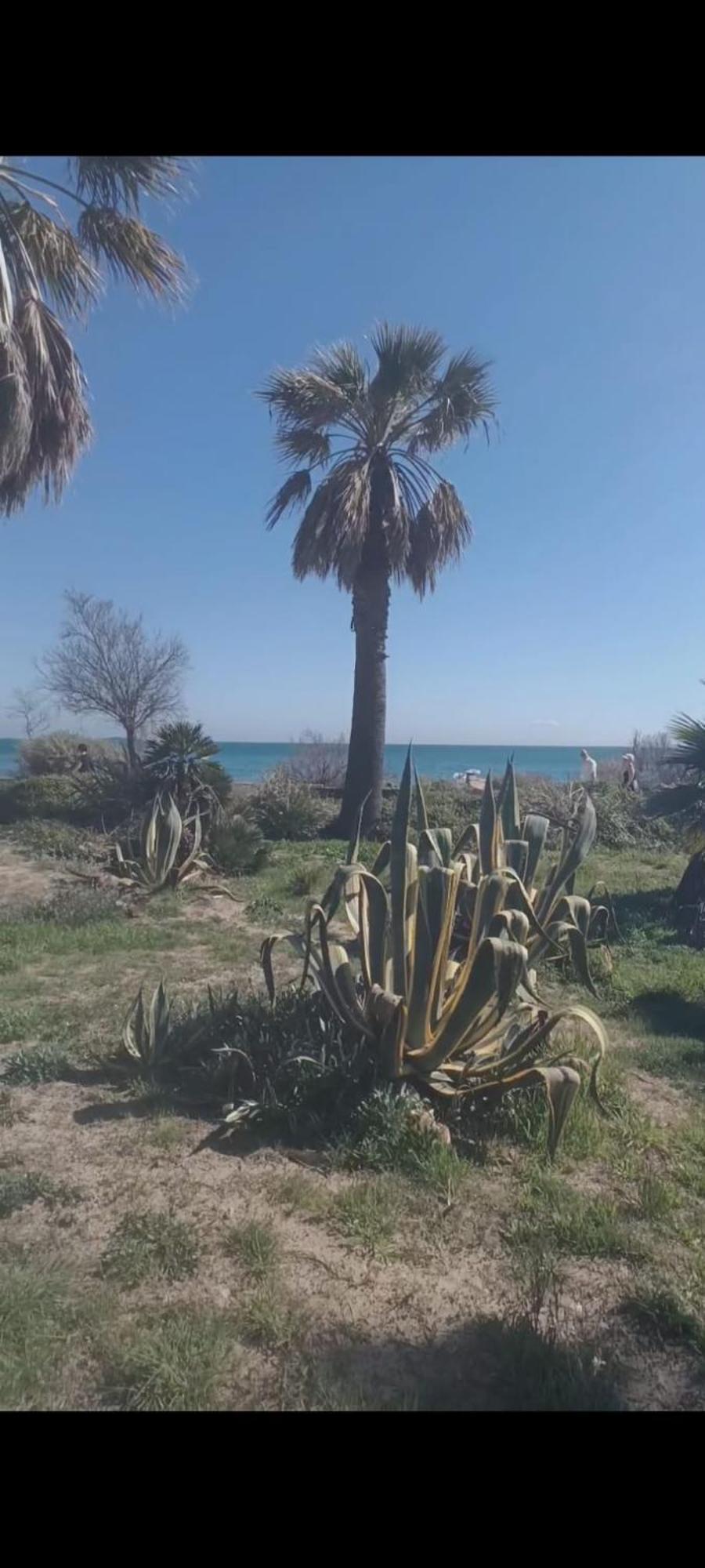 Port * Fréjus